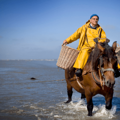 北海の海老漁 2024年のカレンダー