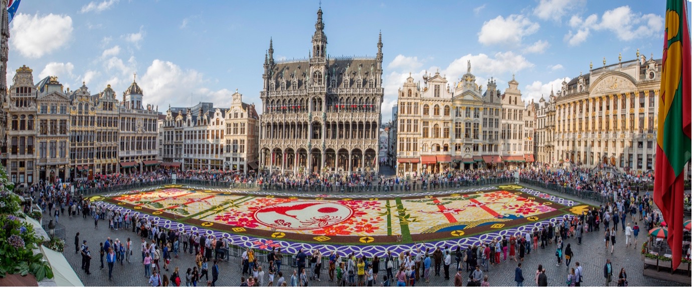 ブリュッセルのフラワーカーペット2026 – MARKT