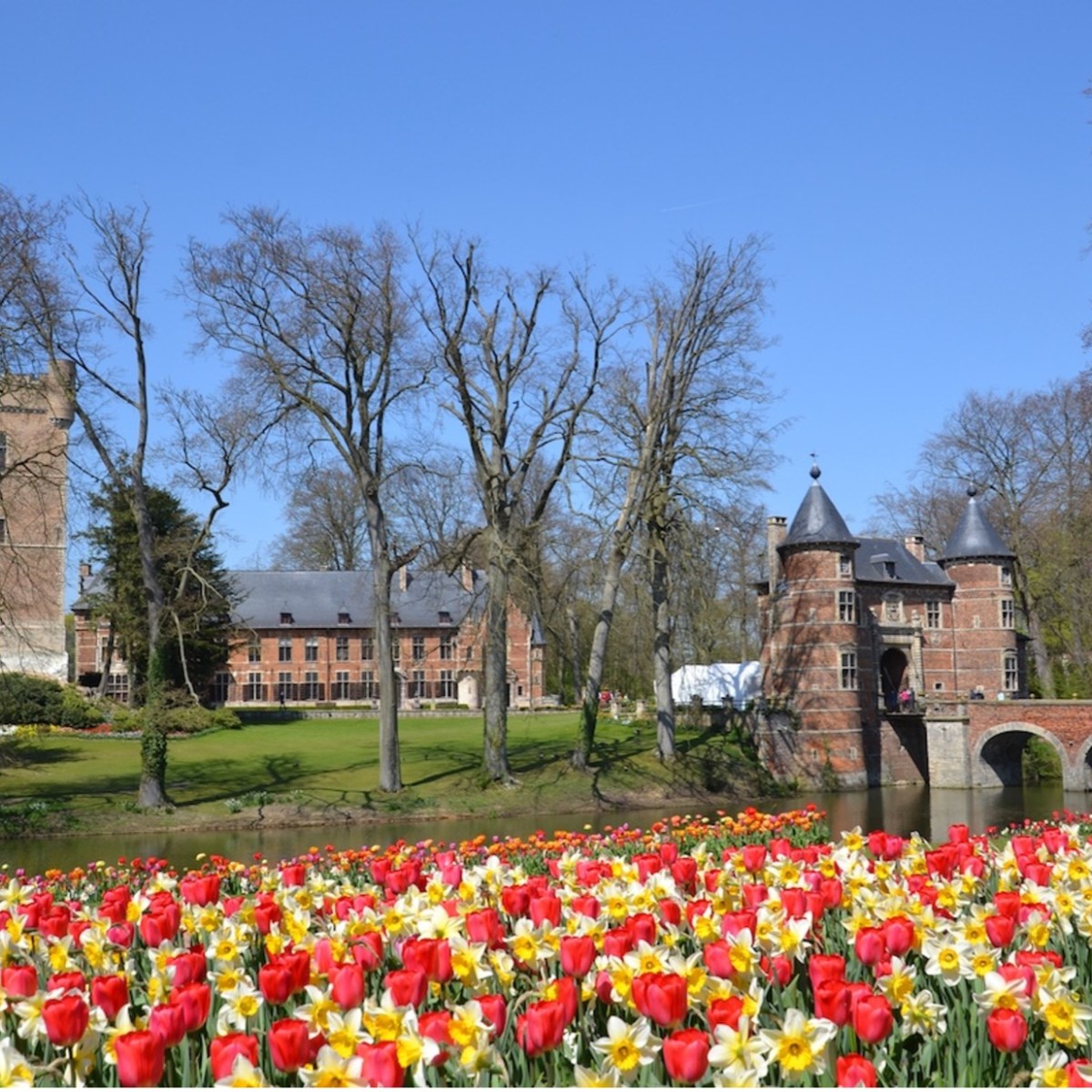 2026年のイベントリスト